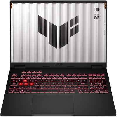 Asus TUF Gaming A16 FA608WI-QT010W - Windows® 11 - Jaeger Gray