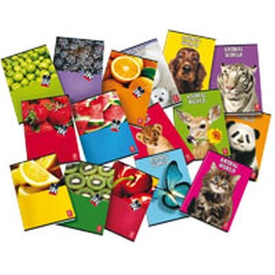 Pigna Fruits A4 42lapos tűzött kockás füzet