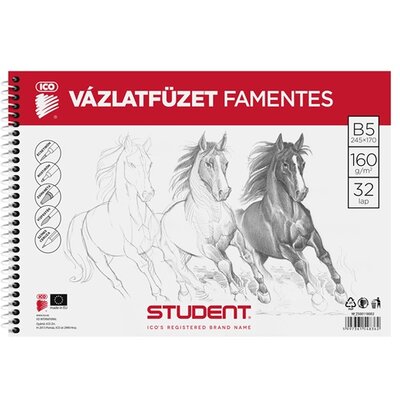 ICO Student B5 famentes vázlatfüzet