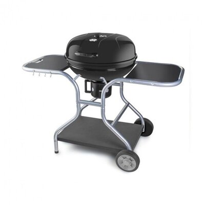 Fieldmann FZG 1014 faszenes kerti grill