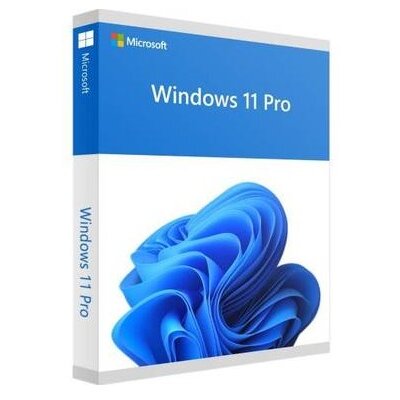 MS Windows 11 Pro 64bit Eng