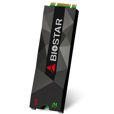 BIOSTAR 1TB M500 NVMe 1.2