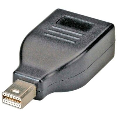 ROLINE adapter DisplayPort - mini DisplayPort F/M