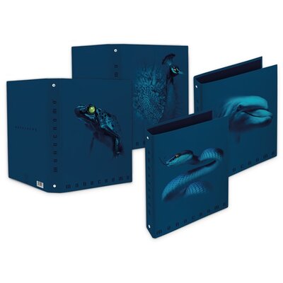 Pigna Monocromo Blue A4 4 gyűrűs 40 mm gerinsszélességű gyűrűs könyv