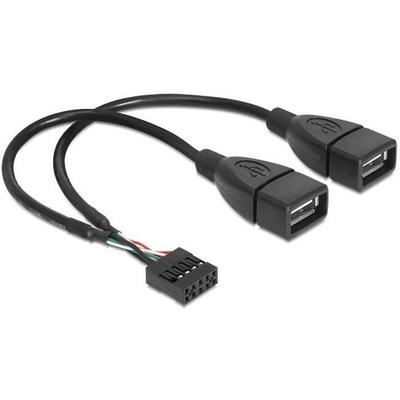 DeLock USB Cable Pin header female > 2 x USB 2.0 type-A female 20cm