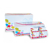 ECO Epson T1281 utángyártott Black tintapatron