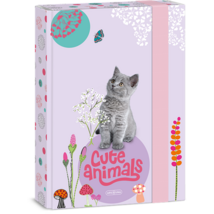 Ars Una Cute Animals-Kitten 24 (5368) A5 füzetbox