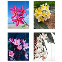 Herlitz Flower A4 gumis mappa Herlitz Flower A4 gumis mappa