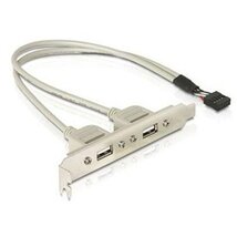 Delock 71000 Slot konzol 1x belső USB 9tűs > 2x USB2.0 külső Delock 71000 Slot konzol 1x belső USB 9tűs > 2x USB2.0 külső