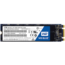 Western Digital 1TB BLUE SSD M.2 SA510 2280 SATA III 6 GB/S