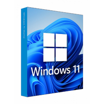 Microsoft Windows 11 Pro 64bit HUN DVD