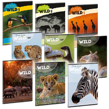 Ars Una The Eyes of the Wild 5235 A4 extra kapcsos kockás füzet