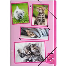 Pagna A4 PP macskák gumismappa