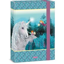 Ars Una Stardust 23 (5258) A4 füzetbox